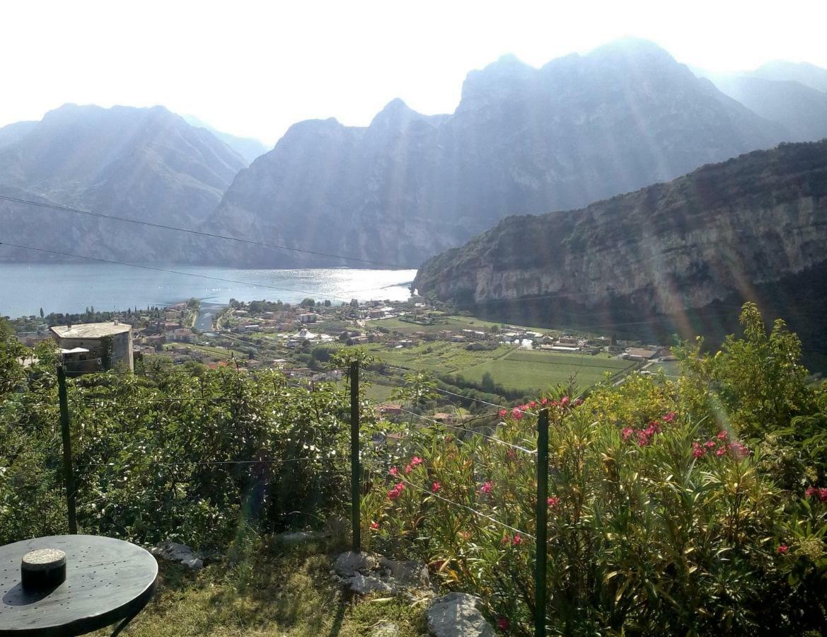 Garden Belvedere B&B Torbole Sul Garda Exterior photo